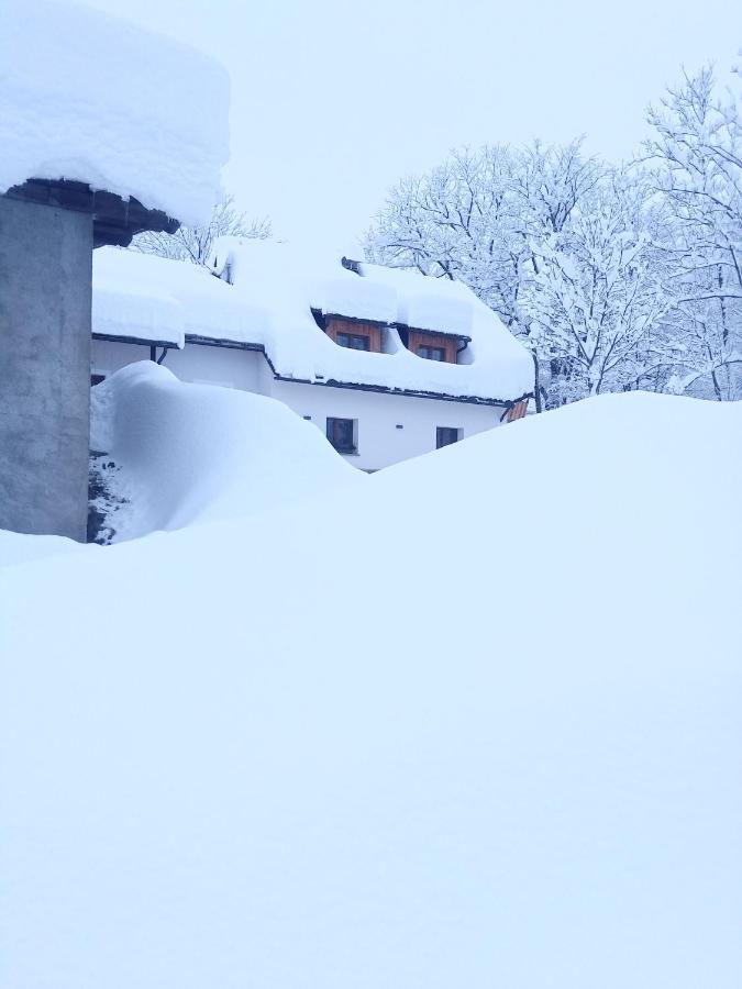 Villa Greuth Hutte à Tarvisio Extérieur photo