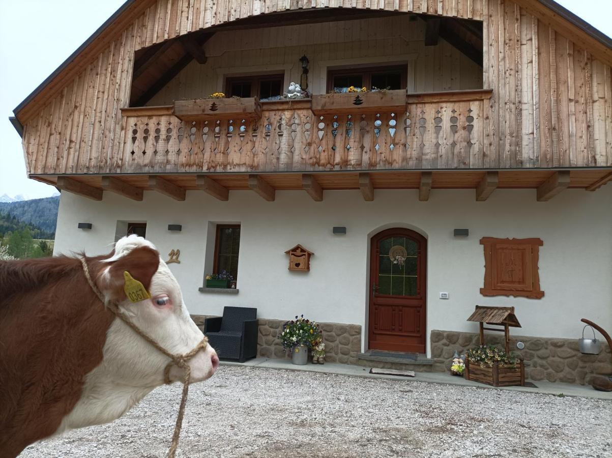 Villa Greuth Hutte à Tarvisio Extérieur photo